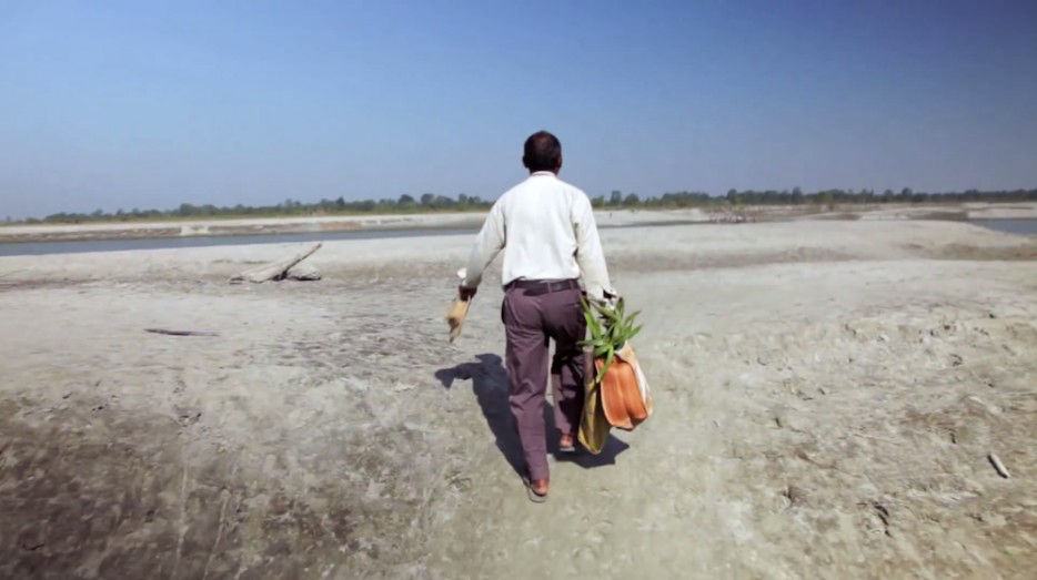 印度一岛民坚持种树35年,将550公顷荒岛变森林(图3) 印度一岛民坚持种树35年,将550公顷荒岛变森林--置顶表情