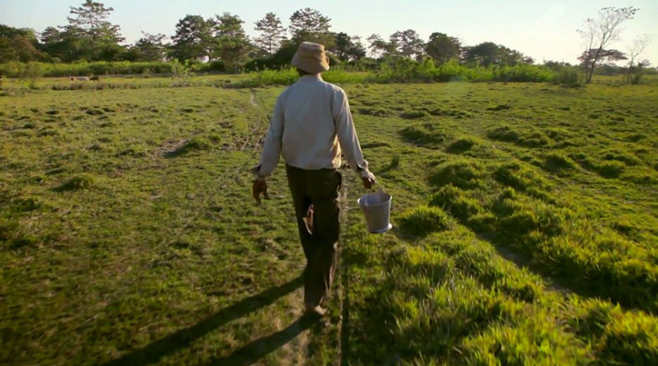 印度一岛民坚持种树35年,将550公顷荒岛变森林(图4) 印度一岛民坚持种树35年,将550公顷荒岛变森林--置顶表情